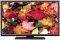 NEO LED-24180 24'' LED TV HD READY