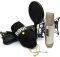 RODE NT2-A MULTI-PATTERN DUAL 1'' CONDENSER M...