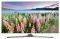 TV SAMSUNG UE48J5510 48'' LED SMART FULL HD