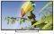 TV ARIELLI LED32ES3 32'' LED HD READY