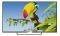 TV ARIELLI LED39ES1A 39'' LED HD READY