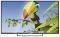 TV ARIELLI LED39ES3 40'' LED HD READY