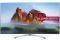 TV LG 55SJ810V 55'' NANO CELL LED SMART 4K SU...