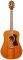   GUILD D120CE WESTERLY...