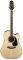   TAKAMINE GD51CE-NAT N...