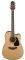   TAKAMINE GD10CE-NS NA...