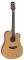   TAKAMINE GD20CE-NS NA...