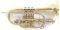  GEWAPURE ROY BENSON B-FLAT CR-302...