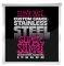    ERNIE BALL 2248 SUP...