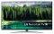 TV LG 65SM8600 65'' NANOCELL LED SMART 4K ULT...