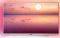TV PHILIPS 43PUS6804/12 43'' LED 4K UHD AMPIL...