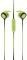 SETTY WIRED EARPHONES SPORT GREEN