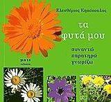 �� ���� ���