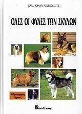 ���� �� ����� ��� ������