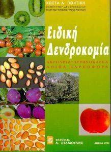 ������ ����������� ����� � -������� ����������� ����� ���������