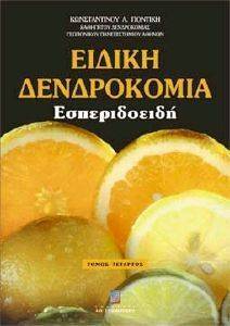 ������ ����������� ����� � -������������