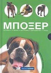 ΜΠΟΞΕΡ ΜΠΟΞΕΡ
