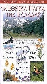 �� ������ �����