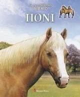 �� ��������� ��� ������ ����