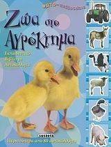 ��� ��� ���������