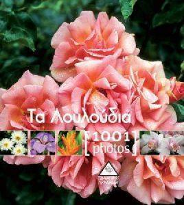�� ��������� 1001 PHOTOS ������ �����