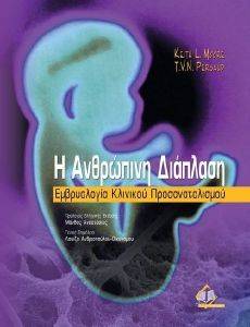 Η ΑΝΘΡΩΠΙΝΗ ΔΙΑΠΛΑΣΗ Η ΑΝΘΡΩΠΙΝΗ ΔΙΑΠΛΑΣΗ