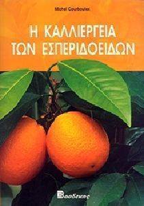Η ΚΑΛΛΙΕΡΓΕΙΑ ΤΩΝ ΕΣΠΕΡΙΔΟΕΙΔΩΝ 108080241