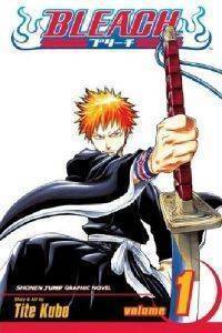 BLEACH VOLUME 1