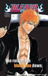 BLEACH SOULS