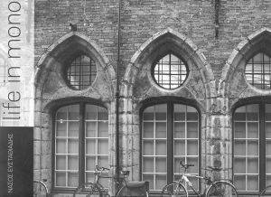 LIFE IN MONO LIFE IN MONO