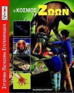 � ������ ��� ����