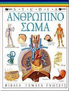 STUDIA  