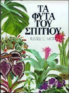 �� ���� ��� �������