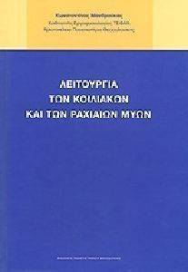 ΛΕΙΤΟΥΡΓΙΑ ΤΩΝ ΚΟΙΛΙΑΚΩΝ ΚΑΙ ΤΩΝ ΡΑΧΙΑΙΩΝ ΜΥΩΝ ΛΕΙΤΟΥΡΓΙΑ ΤΩΝ ΚΟΙΛΙΑΚΩΝ ΚΑΙ ΤΩΝ ΡΑΧΙΑΙΩΝ ΜΥΩΝ