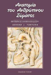 ΑΝΑΤΟΜΙΑ ΤΟΥ ΑΝΘΡΩΠΙΝΟΥ ΣΩΜΑΤΟΣ-ΕΠΙΤΟΜΟ ΑΝΑΤΟΜΙΑ ΤΟΥ ΑΝΘΡΩΠΙΝΟΥ ΣΩΜΑΤΟΣ-ΕΠΙΤΟΜΟ