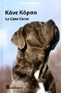 ���� �����