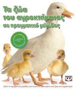 ΤΑ ΖΩΑ ΤΟΥ ΑΓΡΟΚΤΗΜΑΤΟΣ ΣΕ ΠΡΑΓΜΑΤΙΚΟ ΜΕΓΕΘΟΣ ΤΑ ΖΩΑ ΤΟΥ ΑΓΡΟΚΤΗΜΑΤΟΣ ΣΕ ΠΡΑΓΜΑΤΙΚΟ ΜΕΓΕΘΟΣ
