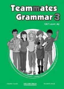 TEAMMATES 3 GRAMMAR