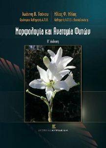 ΜΟΡΦΟΛΟΓΙΑ ΚΑΙ ΑΝΤΟΜΙΑ ΦΥΤΩΝ ΜΟΡΦΟΛΟΓΙΑ ΚΑΙ ΑΝΤΟΜΙΑ ΦΥΤΩΝ