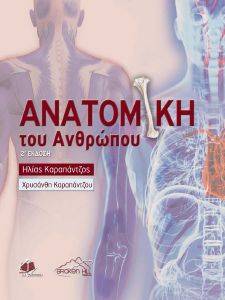 ΑΝΑΤΟΜΙΚΗ ΤΟΥ ΑΝΘΡΩΠΟΥ ΑΝΑΤΟΜΙΚΗ ΤΟΥ ΑΝΘΡΩΠΟΥ