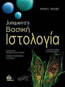 ������ ���������