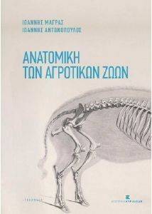 ��������� ��� ��������� ����