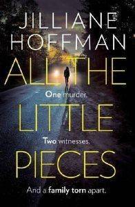 ALL THE LITTLE PIECES ALL THE LITTLE PIECES