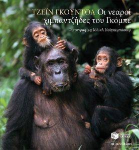 ΟΙ ΝΕΑΡΟΙ ΧΙΜΠΑΝΤΖΗΔΕΣ ΤΟΥ ΓΚΟΜΠΕ ΟΙ ΝΕΑΡΟΙ ΧΙΜΠΑΝΤΖΗΔΕΣ ΤΟΥ ΓΚΟΜΠΕ