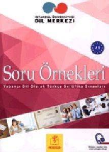 SORU ORNEKLERI A1