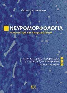 ΝΕΥΡΟΜΟΡΦΟΛΟΓΙΑ Η ΛΕΠΤΗ ΥΦΗ ΤΟΥ ΝΕΥΡΙΚΟΥ ΙΣΤΟΥ ΝΕΥΡΟΜΟΡΦΟΛΟΓΙΑ Η ΛΕΠΤΗ ΥΦΗ ΤΟΥ ΝΕΥΡΙΚΟΥ ΙΣΤΟΥ