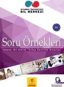 SORU ORNEKLERI B2