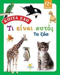 ����� ��� �� ����� ����; �� ���