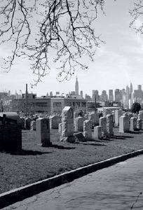 ������ ��� ���������