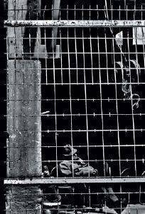 �� ����������� ���� �������� ����� ���������